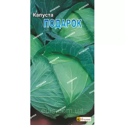 Капуста білоголова Подарунок 0,5 г, насіння Яскрава