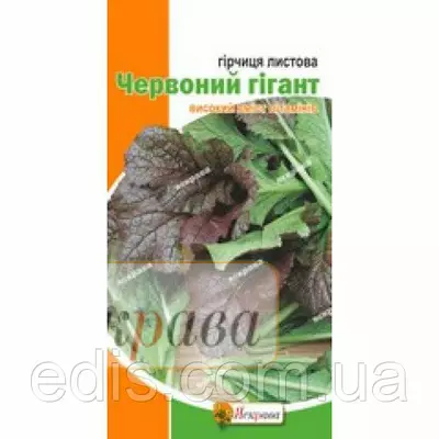 Гірчиця листова Червоний гігант 2 г, насіння Яскрава