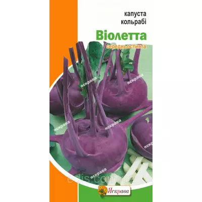 Капуста кольрабі Віолетта 0,5 г, насіння Яскрава