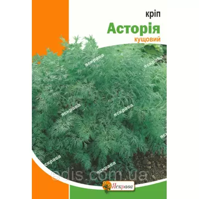 Кріп кущовий Асторія 20 г, насіння Яскрава