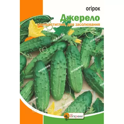 Огірок Джерело 10 г, насіння Яскрава