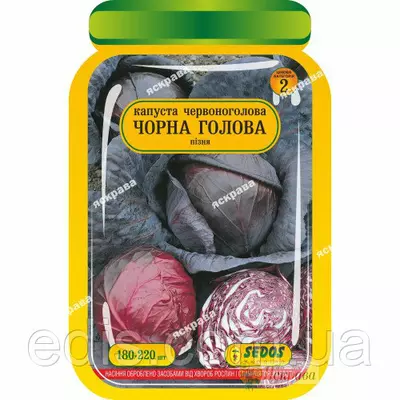 Капуста червоноголова Чорна голова 180-220 шт. дражоване насіння Яскрава