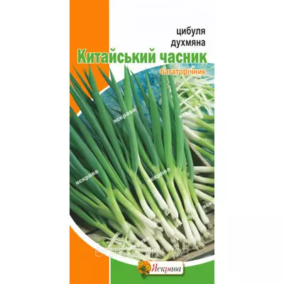 Цибуля Китайський часник (запашна цибуля) 0,5 г, насіння Яскрава