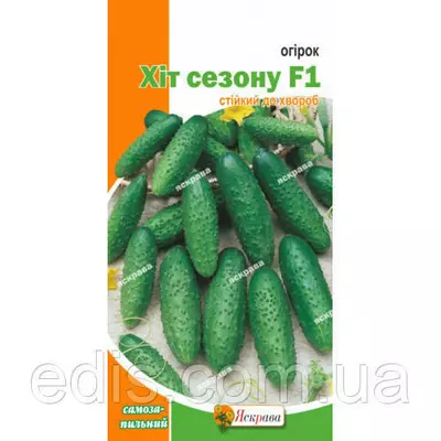 Огірок Хіт сезону F1 (букетний, самозапильний) F1 0,3 г, насіння Яскрава
