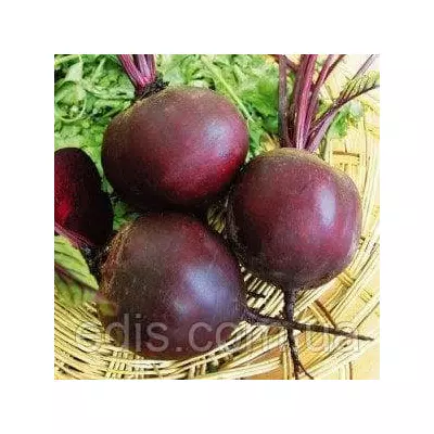 Буряк Бордо 20 г, насіння Яскрава