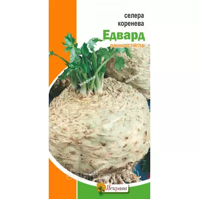 Селера коренева Едвард 0,2 г, насіння Яскрава