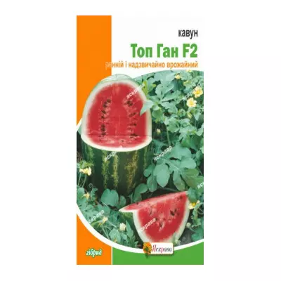 Кавун Топ Ган F2 1 г, насіння Яскрава