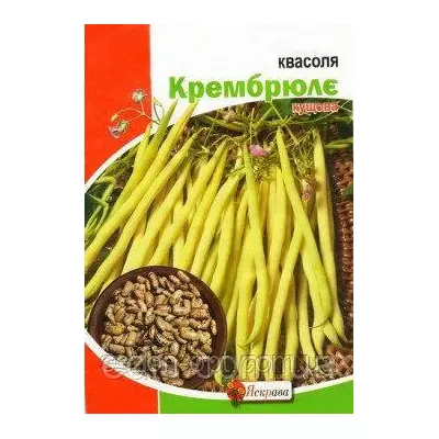 Квасоля Крем брюле 20 г (кущова), насіння Яскрава