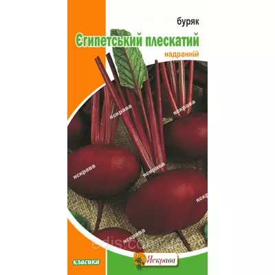 Буряк столовий Єгипетський Плаский 3 г, насіння Яскрава