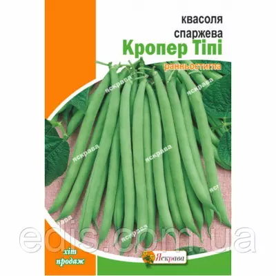 Квасоля Кропер Тіпі спаржева зелена кущова, 10 г, насіння Яскрава