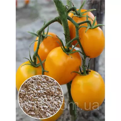 Томат Де-Барао Золотий 20 г, насіння Яскрава