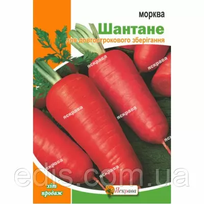 Морква Шантане 15 г, насіння Яскрава
