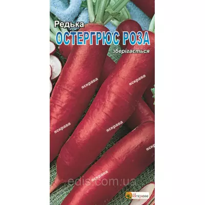 Редька Остергюс троянда 2 г, насіння Яскрава
