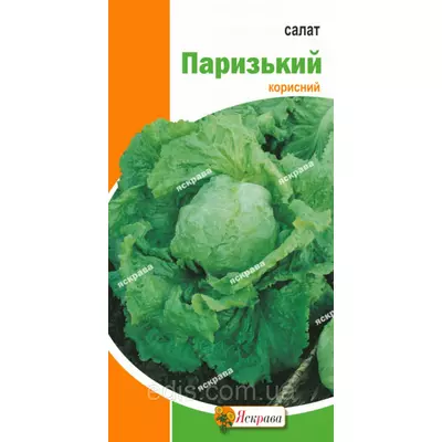 Салат Паризький 10 г насіння Яскрава