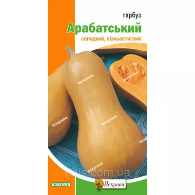 Гарбуз Арабатський 2 г, насіння Яскрава