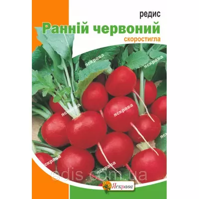 Редис Ранній червоний 10 г, насіння Яскрава