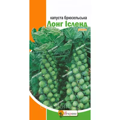 Капуста брюссельська Лонг Ісленд (рання) 0,5 г, насіння Яскрава