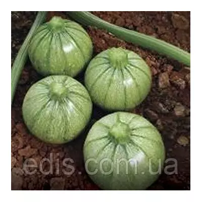 Кабачок круглий Колобок 3 г, насіння Яскрава