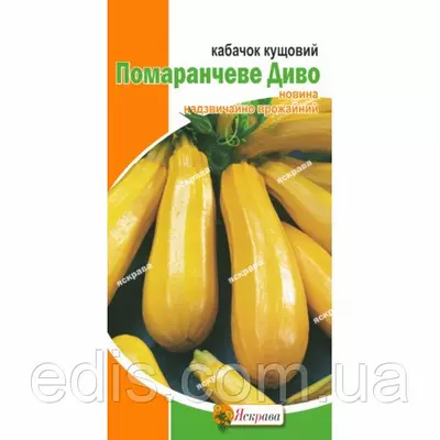 Кабачок Помаранчеве Диво 2 г, насіння Яскрава