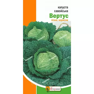 Капуста савойська Вертус 0,5 г, насіння Яскрава