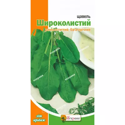 Щавель Широколистий 10 р. Насіння Яскрава
