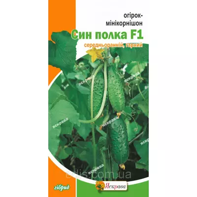Огірок мінікорнішон Син полка F1 (букетний, корнішон) 0,5 г, насіння Яскрава