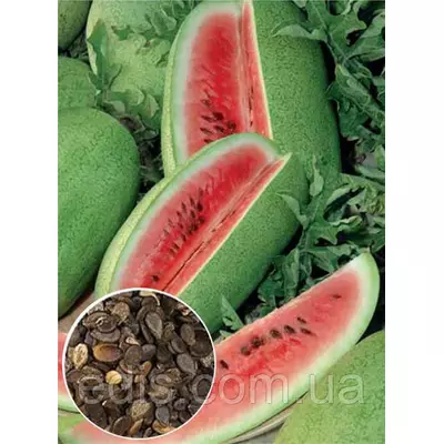 Кавун Чарльстон грей 100 г (середньостиглий) вагове насіння