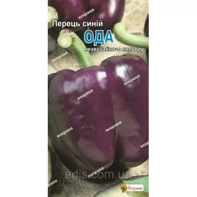 Перець синій Ода 0,3 г, насіння Яскрава