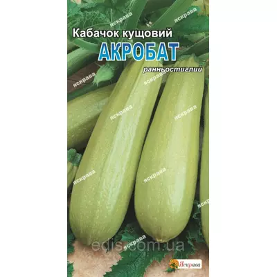 Кабачок Акробат 3 г, насіння Яскрава