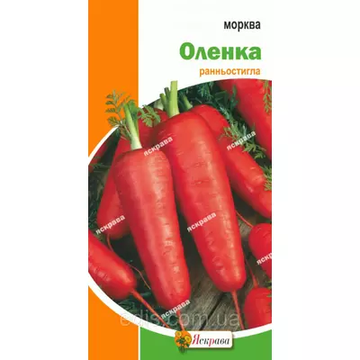 Морква ультрарання Оленка 3 г, насіння Яскрава