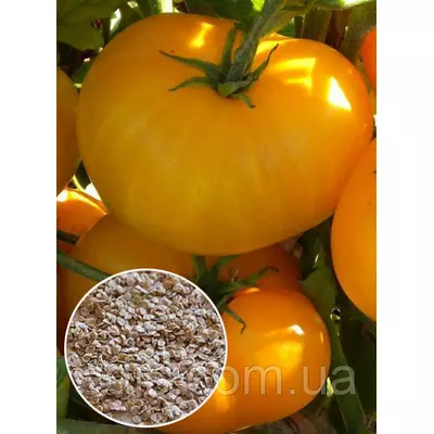 Томат Рижик 20 г, насіння Яскрава