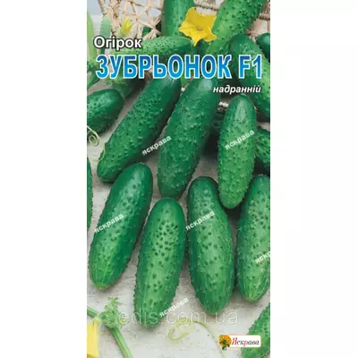 Огірок Зубрьонок F1 0,5 г, насіння Яскрава