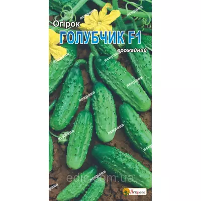 Огірок Голубчик F1 0,5 г, насіння Яскрава