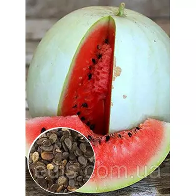 Кавун Цельнолистий 100 г, насіння Яскрава