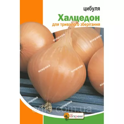 Цибуля Халцедон 8 г, насіння Яскрава