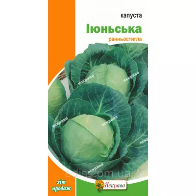 Капуста білоголова Іюньська 0,5 г, насіння Яскрава