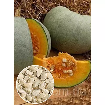 Гарбуз Волзький сірий 100 г, вагове насіння, Яскрава