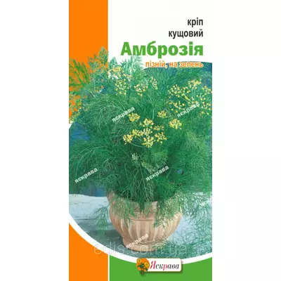 Кріп Амброзія 5 г, насіння Яскрава