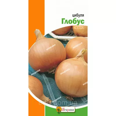 Цибуля Глобус 1 г, насіння Яскрава