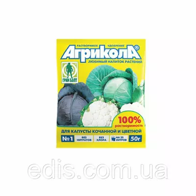 Хоста Lakeside Little Tuft (Лейксайд Литл Тафт) кореневище