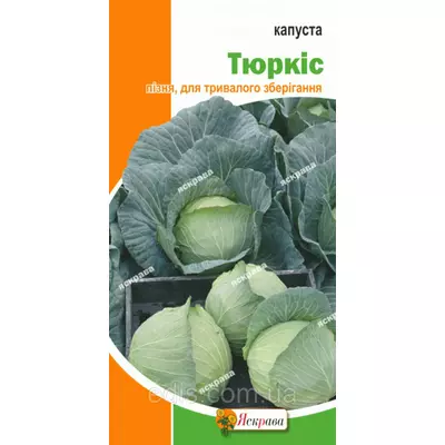 Капуста білоголова Тюркис (пізня) 0,5 г, насіння Яскрава