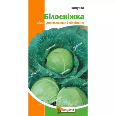 Капуста білоголова Білосніжка 5 г, насіння Яскрава