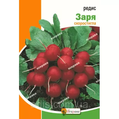 Редис Зоря 10 г, насіння Яскрава