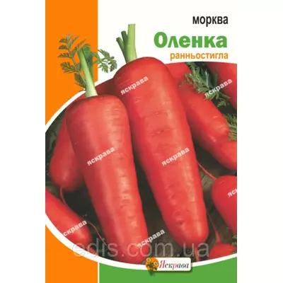 Морква Оленка 15 г, насіння Яскрава