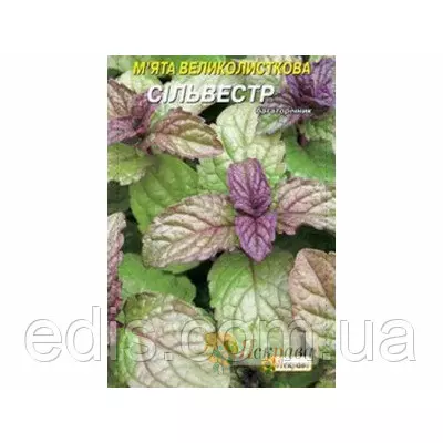 М'ята Сильвестр, насіння 0,05 г