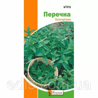 М'ята перцева 0,05 р. насіння Яскрава