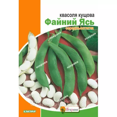 Квасоля кущова Файний Ясь 30 г (кущова), насіння Яскрава