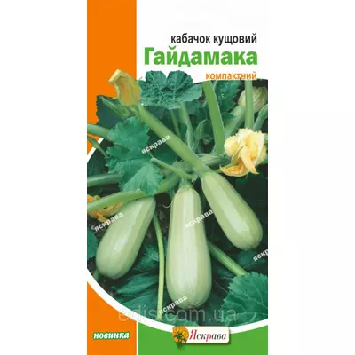 Кабачок Гайдамака 3 г, насіння Яскрава
