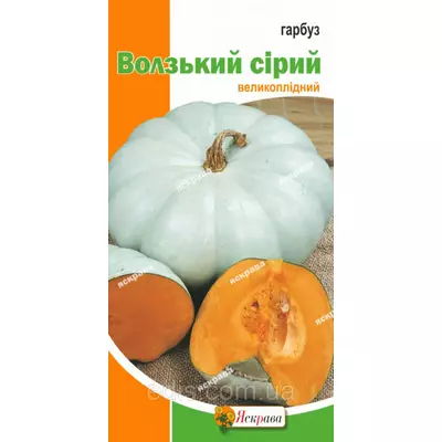 Гарбуз Волзький сірий 20 г, насіння Яскрава