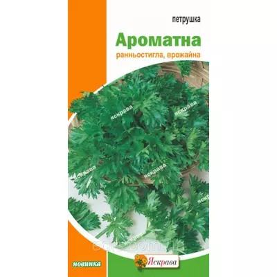 Петрушка листова Ароматна 2 г, насіння Яскрава